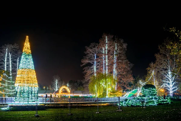 Novi Sad Serbia December 2019 Outdoor Sktrail Serbian Ledena Uma — 图库照片