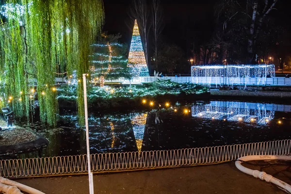 Novi Sad Serbia December 2019 Outdoor Sktrail Serbian Ledena Uma — 图库照片