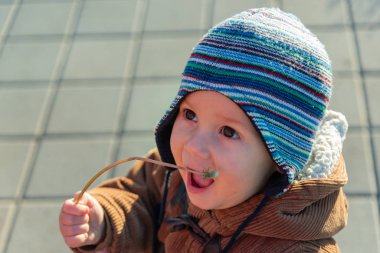Sokaktaki tatlı çocuk. Çocuk bir karahindiba ile oynuyor.