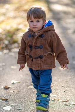 Sonbahar parkında duran küçük çocuk