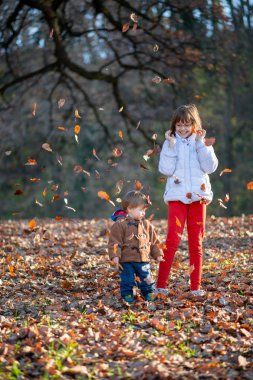 Sonbahar parkında küçük bir kız ve oğlan. Erkek ve kız kardeş yapraklarla oynuyor.