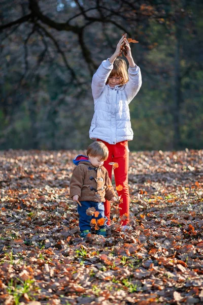 Little Boy Girl Autumn Park Brother Sister Play Leaves — 스톡 사진