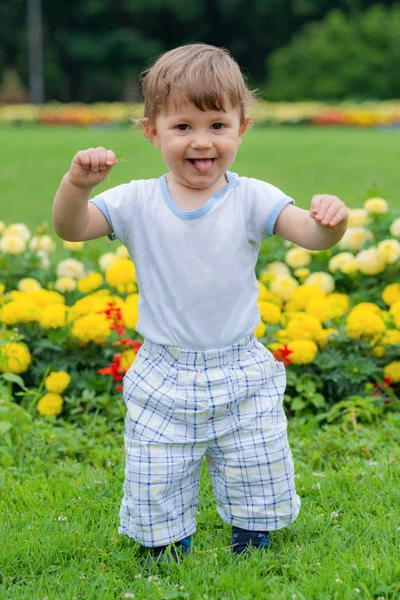 Little Boy Playing Grass — Stock Photo, Image