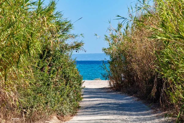 Una Strada Sterrata Una Spiaggia Selvaggia — Foto Stock