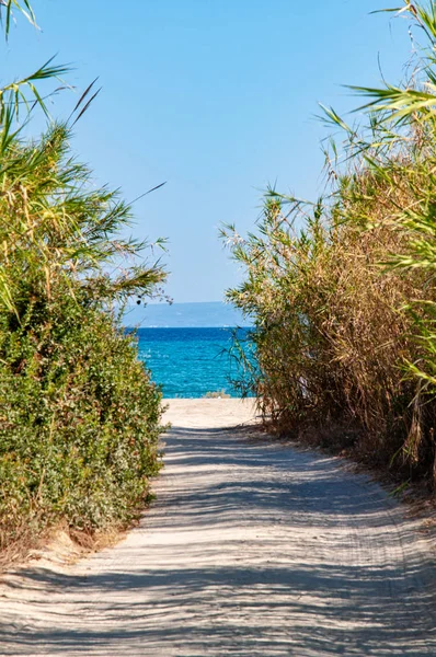 Una Strada Sterrata Una Spiaggia Selvaggia — Foto Stock