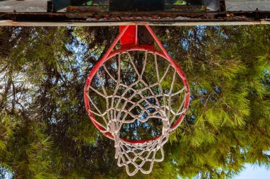 Ormandaki basketbol sahası. Ağacın yanında basketbol potası. Boş sokak basketbol sahası. Spor, egzersiz ve sağlıklı yaşam tarzı gibi kavramlar için..