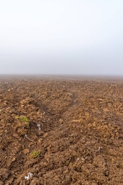 Tarım alanının üzerindeki sis