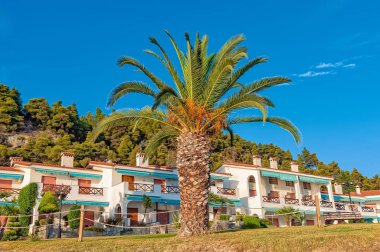 Skala Fourkas, Yunanistan - 02 Eylül 2019: Deniz manzaralı daire, plaj ve palmiye ağacı. Yunanistan 'ın Halkidiki kentinde güzel bir tatil beldesi.