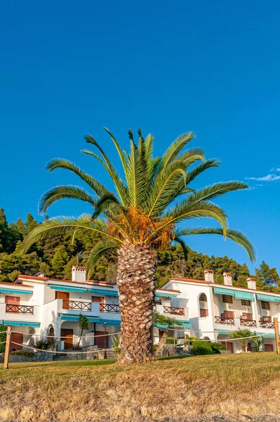 Skala Fourkas Greece September 2019 Apartment Sea View Beach Palm — стокове фото