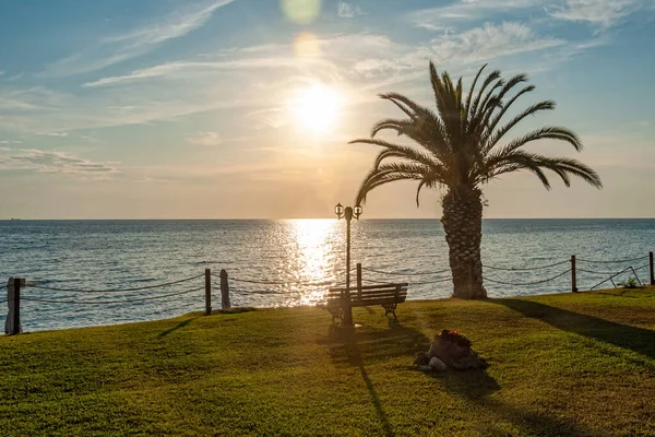 Spiaggia Idilliaca Tramonto Color Oro Palma Tropicale Mare Tramonto Sfondo — Foto Stock