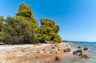 Halkidiki 'de Ege Denizi' nde güzel bir gizli Yunan plajı.