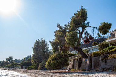 Halkidiki, Greece - September 03,2019: A beautiful Greek beach on the Aegean Sea in Halkidiki. Private house and private beach.