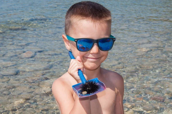 Lindo Niño Sosteniendo Erizo Mar Playa — Foto de Stock