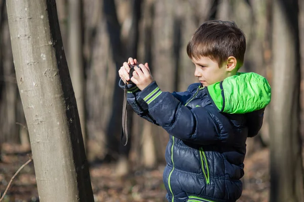 Chłopiec Fotografujący Lesie Chłopiec Fotografuje Naturę Aparatem Kompaktowym — Zdjęcie stockowe