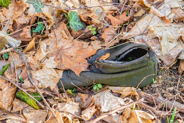 Заброшенная Старая Обувь Деревянной Обстановке — стоковое фото