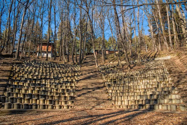 Fruska Gora Srbsko Února 2020 Lesní Amfiteátr Venkovní Učebna Lese — Stock fotografie