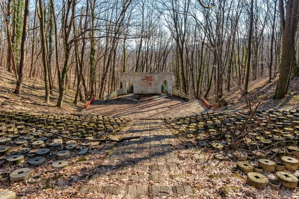 Fruska Gora Srbsko Února 2020 Lesní Amfiteátr Venkovní Učebna Lese — Stock fotografie