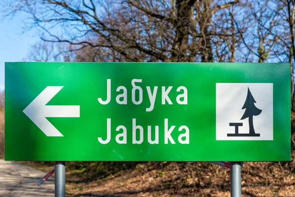 Fruska Gora Serbia Febbraio 2020 Area Picnic Jabuka Situato Nella — Foto Stock