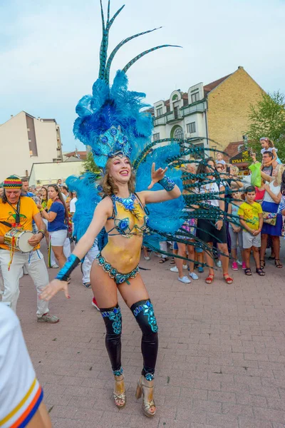 Novi Sad Serbia Agosto 2019 Carnevale Samba Novi Sad Serbia — Foto Stock