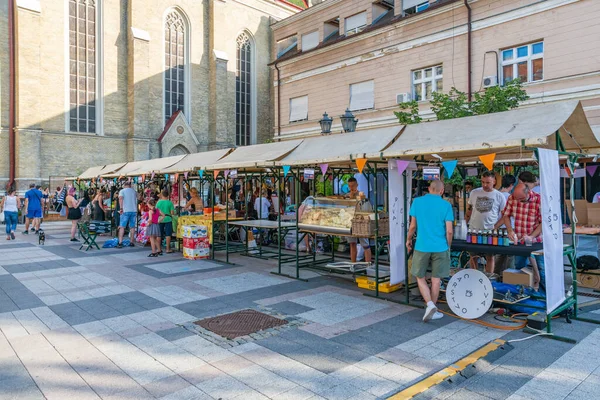 Novi Sad Serbia Lipca 2019 Festiwal Młodzież 2019 Nowym Sadzie — Zdjęcie stockowe