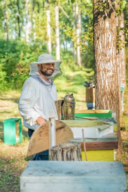 İş yerindeki arı yetiştiricisi. Arıcı arıları kurtarır..