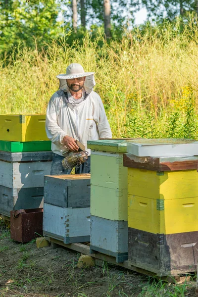 Apicultor Trabajo Apicultor Salva Las Abejas —  Fotos de Stock