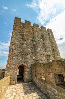 Smederevo, Sırbistan - 02 Mayıs 2019: Smederevo Kalesi Sırbistan 'ın Smederevo kentinde bulunan bir ortaçağ kalesidir. Küçük kasabanın etrafındaki Smederevo kale duvarları. 1427 ve 1430 yılları arasında inşa edilmiş..