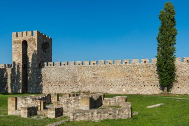 Smederevo, Sırbistan - 02 Mayıs 2019: Smederevo Kalesi Sırbistan 'ın Smederevo kentinde bulunan bir ortaçağ kalesidir. Küçük kasabanın etrafındaki Smederevo kale duvarları. 1427 ve 1430 yılları arasında inşa edilmiş..