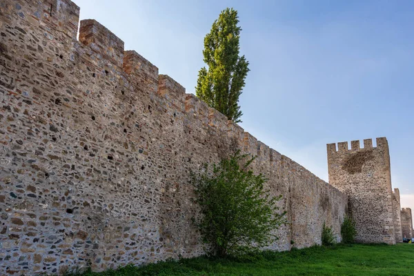 セルビア スメレヴォ Smederevo 2019年5月2日 スメレヴォ要塞 Smederevo セルビア スメレヴォにある中世の要塞都市 小さな町の周りのスメレデボ要塞の壁 1427年から1430年の間に建てられた — ストック写真