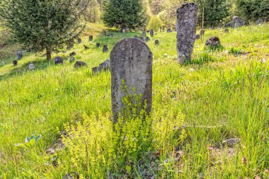 Sırbistan 'daki çok eski mezarlık