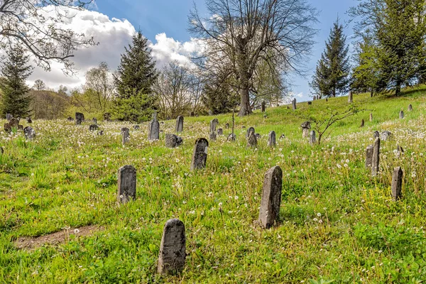 Cementerio Muy Antiguo Serbia — Foto de Stock