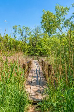 İmparatorluk Göleti 'nin (Carska bara) bataklık bölgesindeki tipik manzara, kuşlar ve Sırbistan' dan gelen diğer hayvanlar için geniş doğal yaşam alanı. Tahta bir köprü ve doğayı görmek ve fotoğraflamak için ahşap bir plato.