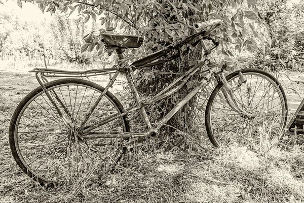 Старый Ржавый Велосипед Лежит Дереве Велосипед Видел Лучшие Дни — стоковое фото