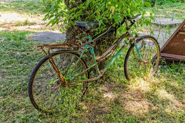 Uma Velha Bicicleta Enferrujada Repousa Contra Uma Árvore Esta Bicicleta — Fotografia de Stock