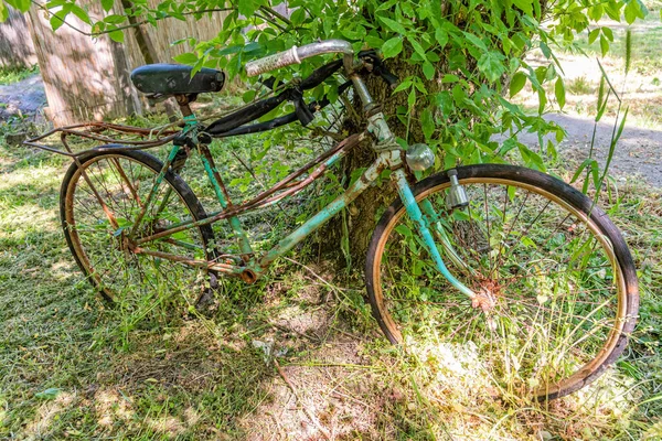 Stary Zardzewiały Rower Spoczywa Pod Drzewem Ten Rower Miał Lepsze — Zdjęcie stockowe