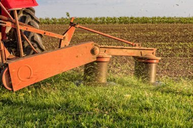Çim biçme makinesi olan bir traktör yonca keser. Çekici çim biçme iskelesi