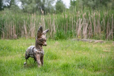 Doğada küçük bir eşek figürü.