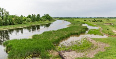 Sırbistan 'ın orta kesiminde doğal rezerv Zasavica, hava manzarası. Eski çalışma kuyusu ve manzaralı gölgesi. Sel ovaları ve ormanlarıyla sulak alan.