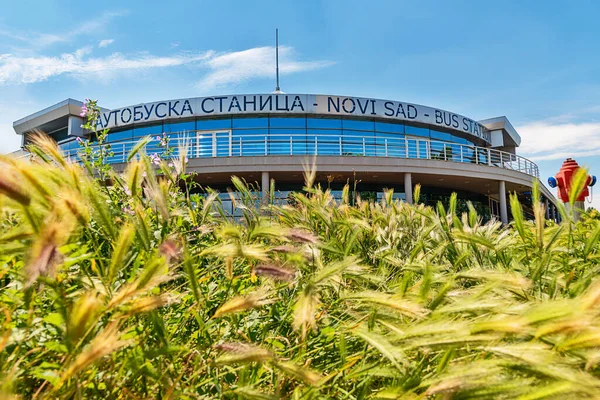 Novi Sad Serbia Mayo 2020 Estación Autobuses Internacional Abandonada Novi —  Fotos de Stock