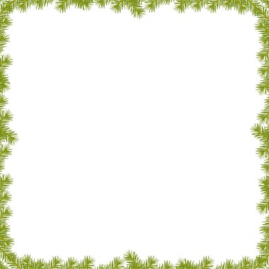 Çam dalı ile sınır