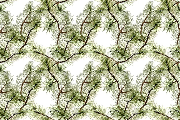 Nahtloses Muster. Zweige von Kiefern oder Fichten auf weißem Hintergrund.. Aquarell-Illustration, handgefertigt — Stockfoto