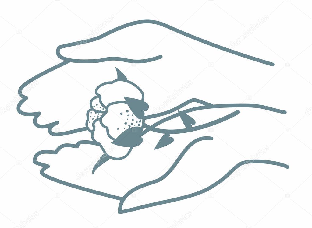 Image of caring hands that hold natural cotton. Vector illustration