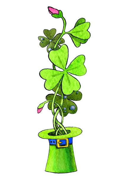 A sprout of four leaf clover with buds from a Lepricon hat for good luck. Watercolor illustration. Handmade. — Stock Photo, Image