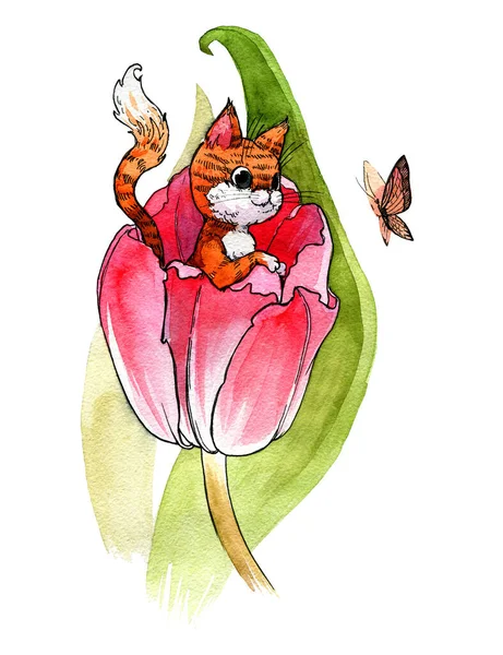 Şirin kedi yavrusu lale çiçeğinin içindeki kelebeği izliyor. Suluboya çizimi, el yapımı. — Stok fotoğraf