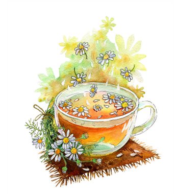 Bir fincan papatya çayı ve bir demet papatya. Suluboya çizimi, el yapımı