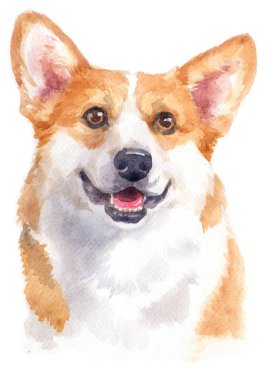 Pembroke Welsh Corgi 096 'nın sulu boya resmi