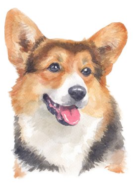 Pembroke Corgi 119 'un sulu boya tablosu