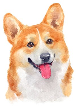 Pembroke Corgi 120 'nin sulu boya tablosu