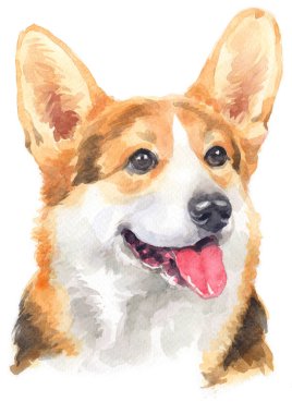 Pembroke Welsh Corgi 124 'ün sulu boya resmi