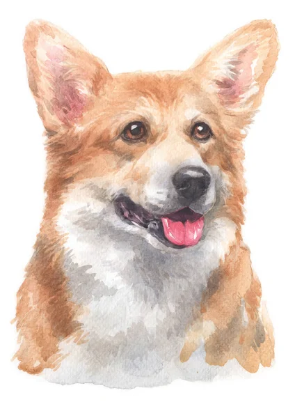 Water Colour Painting Pembroke Welsh Corgi 095 — Stock Photo, Image